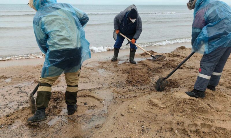 На пляжах Кубани к уборке мазута привлекли 8 тыс. человек и 600 единиц техники