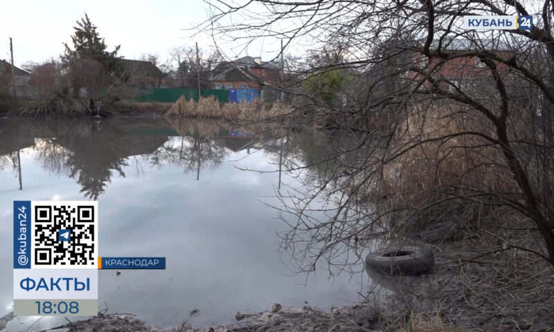 Жители Краснодара пожаловались на розовые пятна в озере в Пашковке