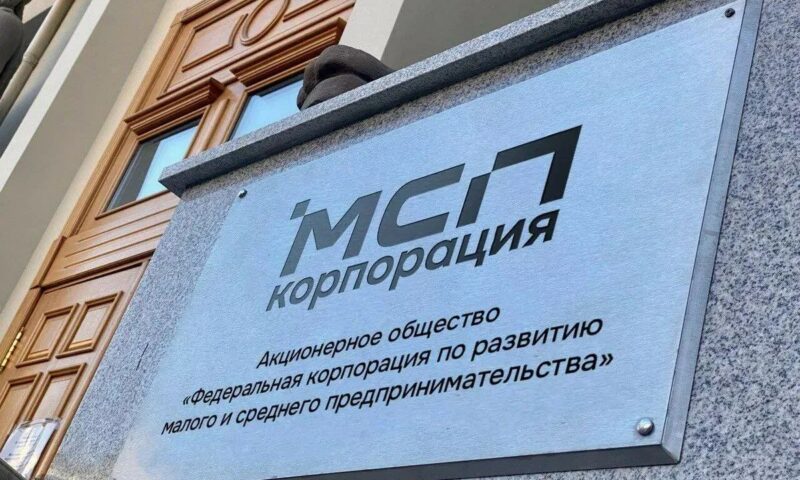 Кубань стала лидером в РФ по оформленным бизнесменами микрокредитам на МСП.РФ