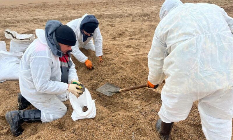 Новые выбросы мазута выявили 12 января в Анапе и Темрюкском районе