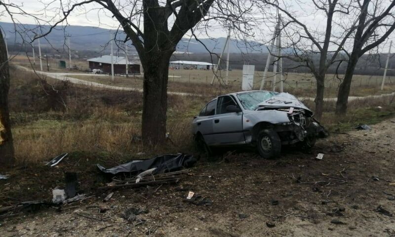 Иномарка врезалась в дерево в Новороссийске, водитель погиб