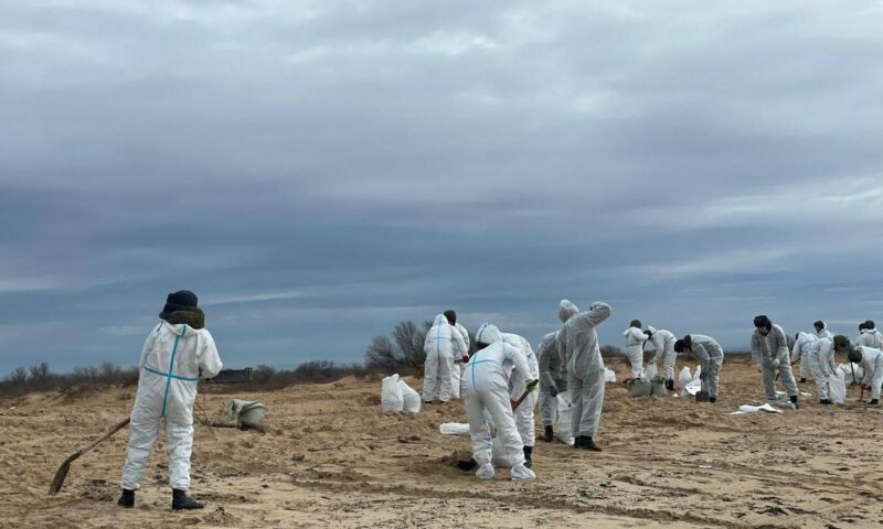 В Анапе определили места сбора волонтеров для уборки пляжей 7 января