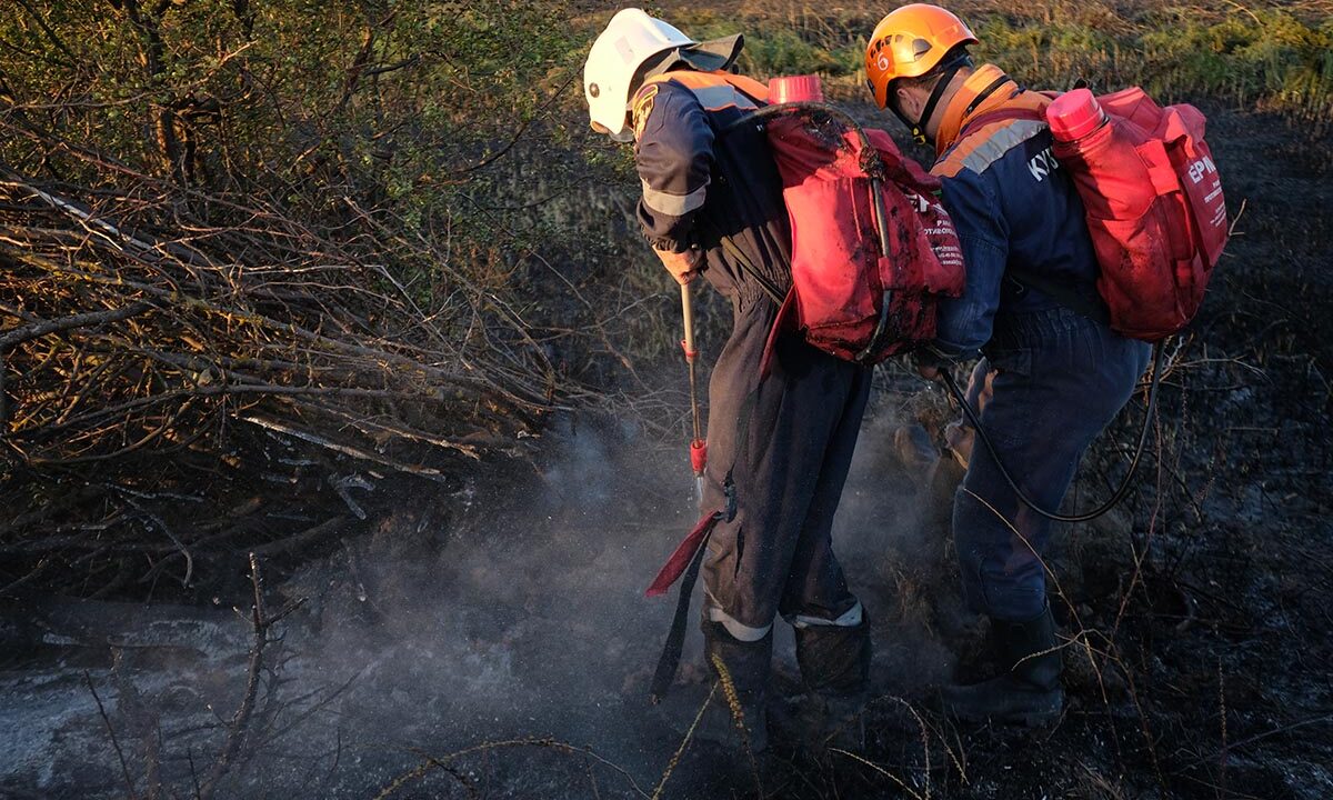 Лесной пожар произошел под Геленджиком из-за падения обломков беспилотника