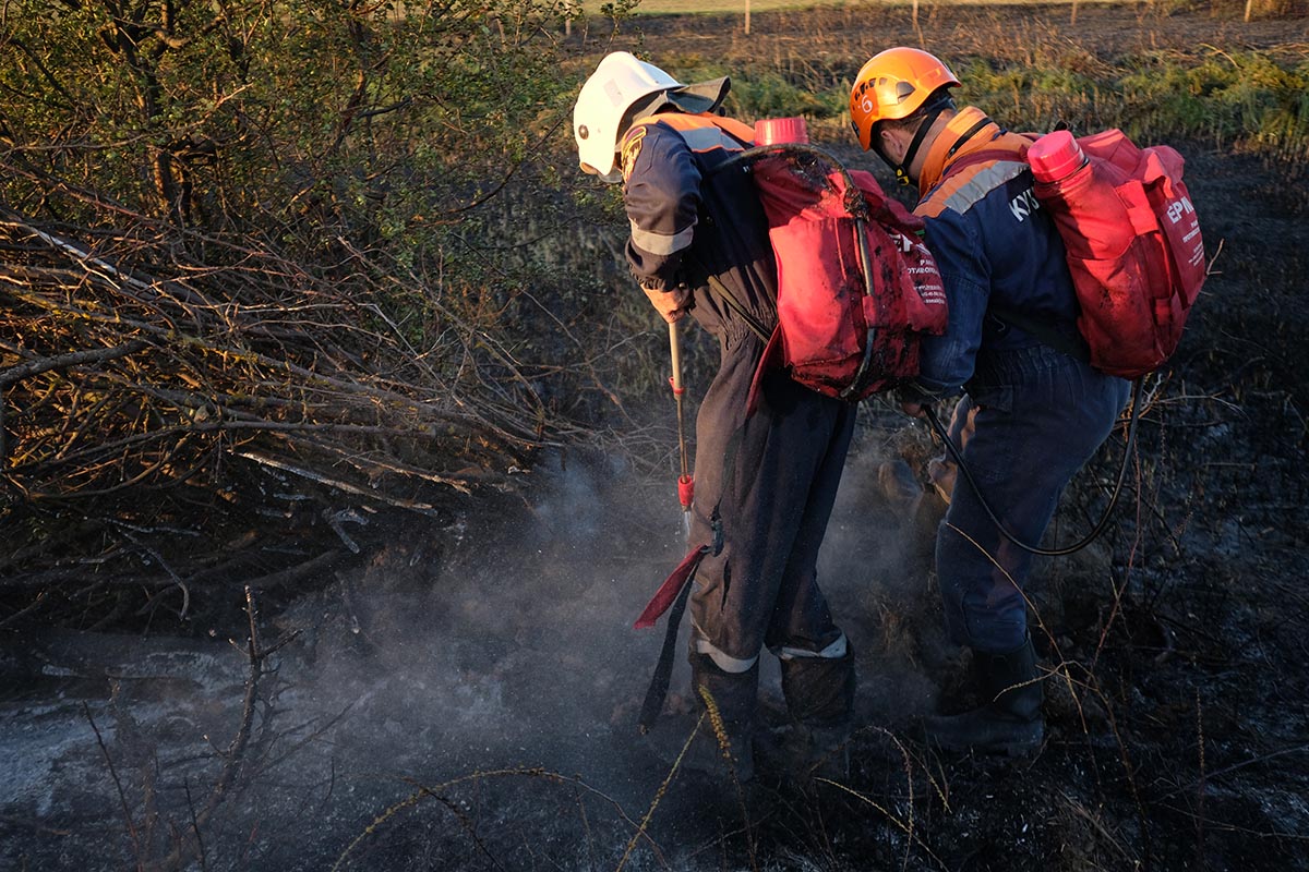 Лесной пожар произошел под Геленджиком из-за падения обломков беспилотника