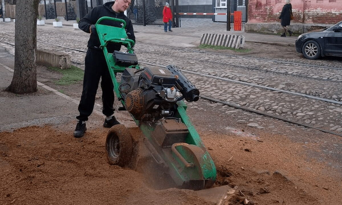 В центре Краснодара начали корчевать пни, под нож пошли уже более 60 штук