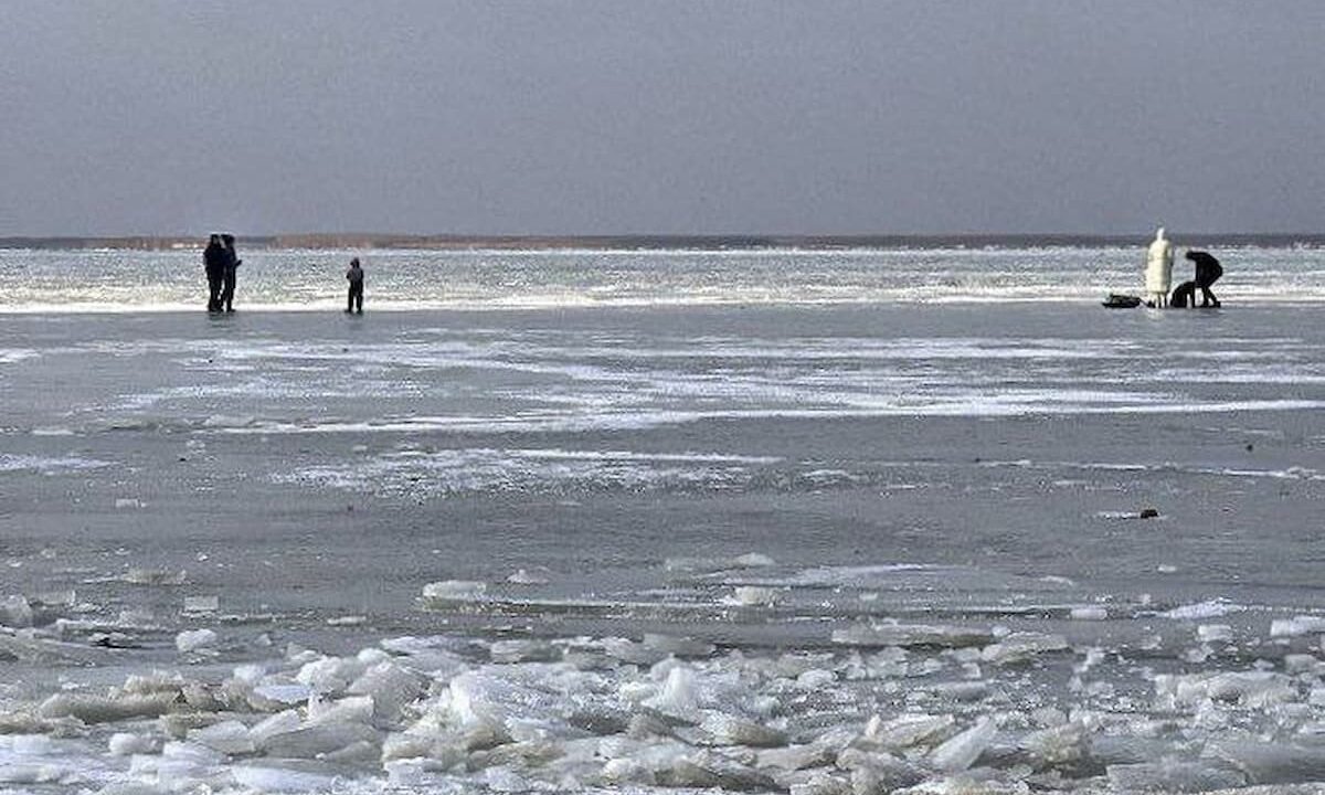 Из-за морозов на Кубани у берегов начали замерзать Азовское и Черное моря