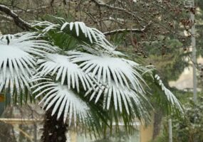 Краснодарский край до марта ожидает принять не менее 3 млн туристов