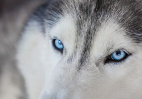 photo_2025-02-27_12-52-40