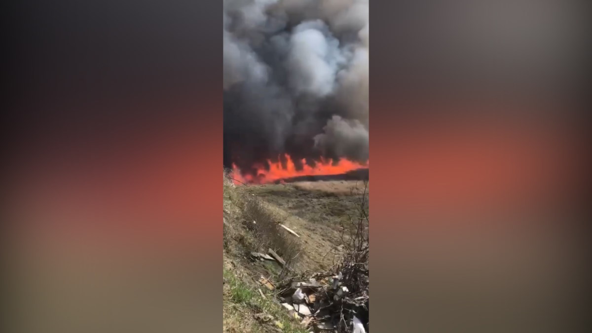 Полиция задержала поджигателя камыша в Усть-Лабинском районе