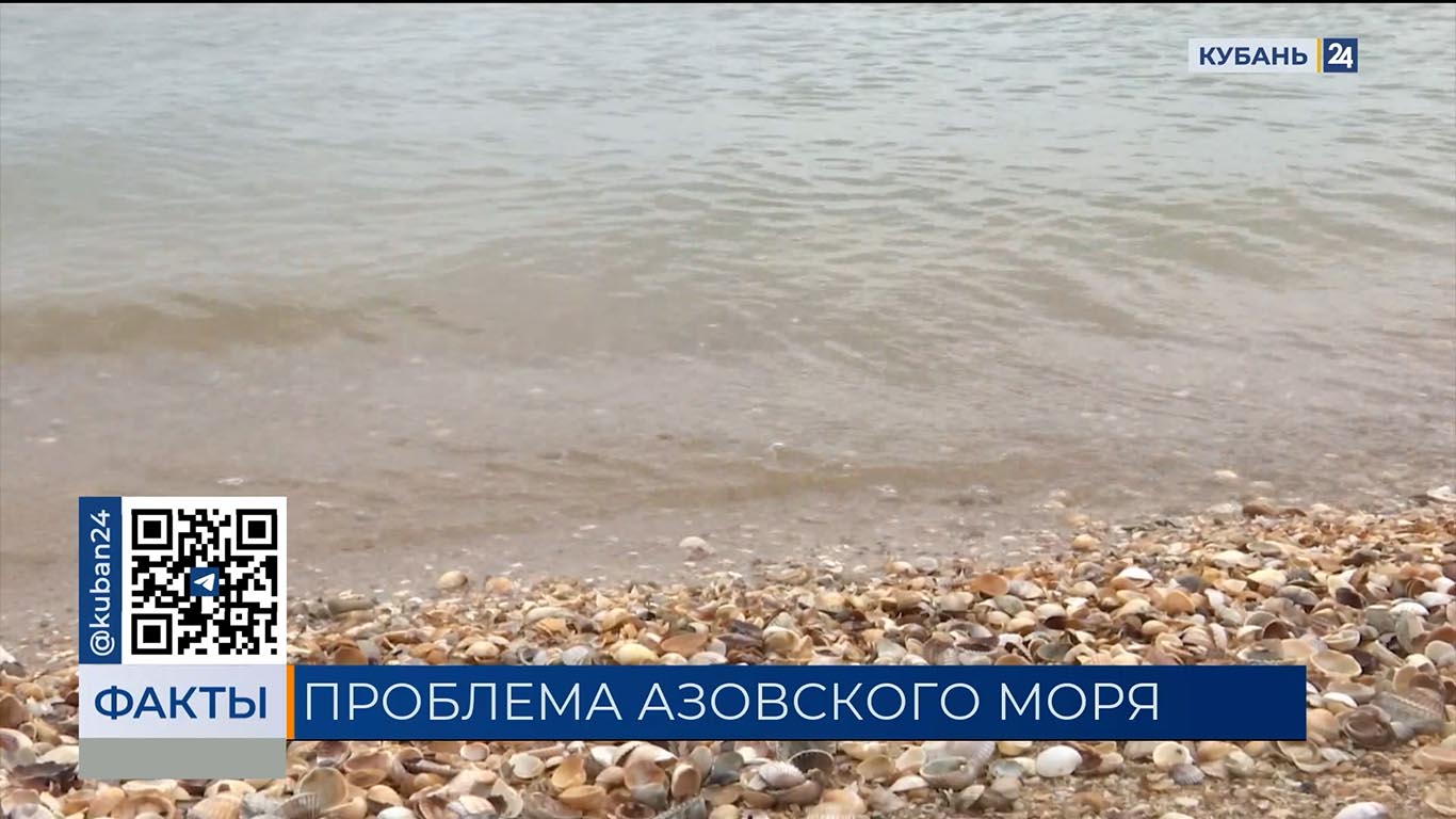 Ученые зафиксировали повышение солености Азовского моря