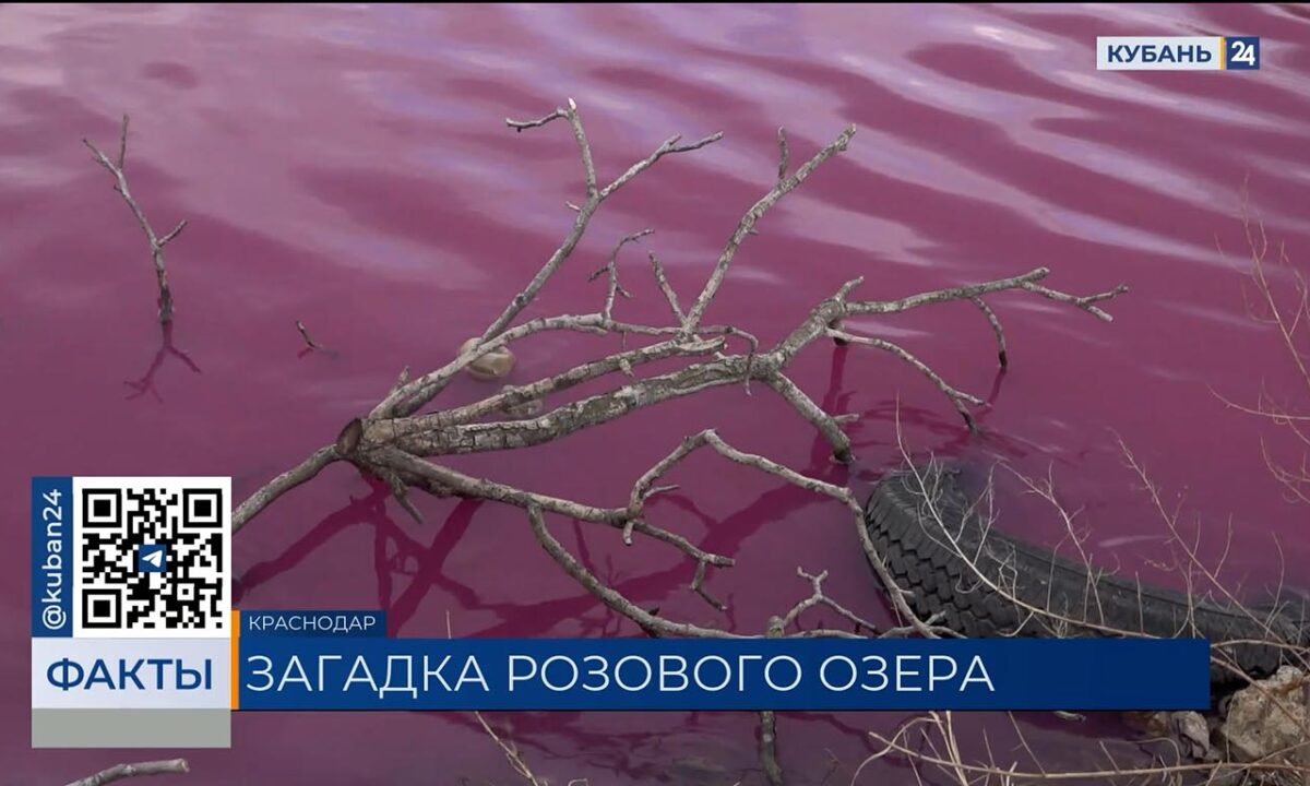 Ученые выяснят причину аномалии в розовом озере в центре Краснодара