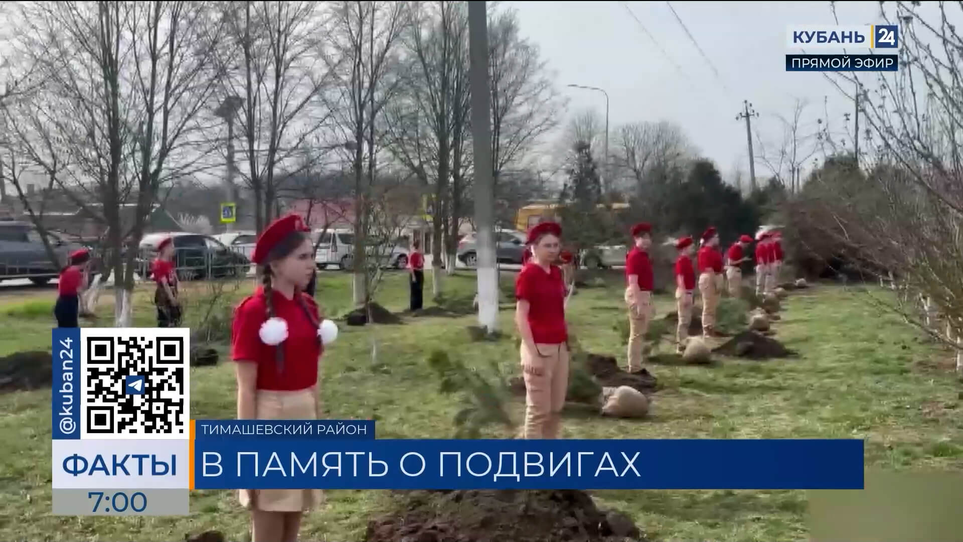 Аллея героев СВО появилась возле школы станицы Медведовской Тимашевского района