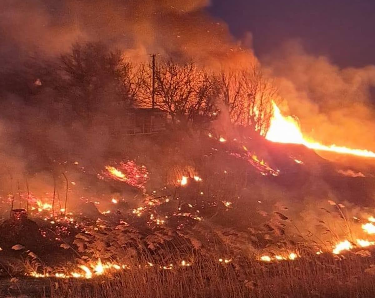 Лесной пожар площадью 19,6 га потушили в Красноармейском районе