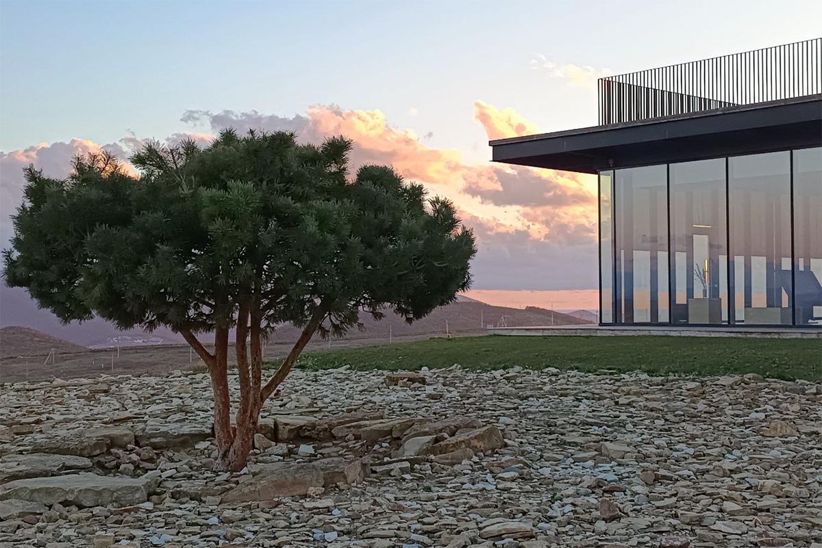 Без имени-1 Без имени-1