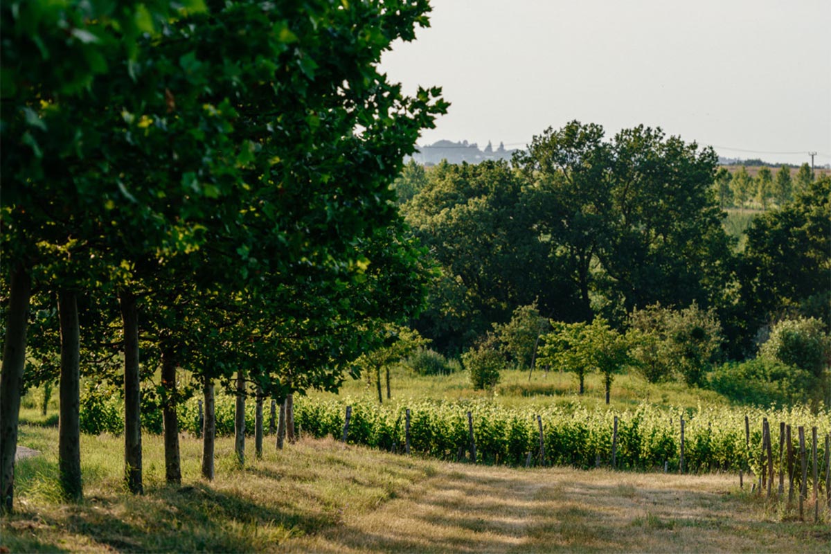 Без имени-3 Без имени-3