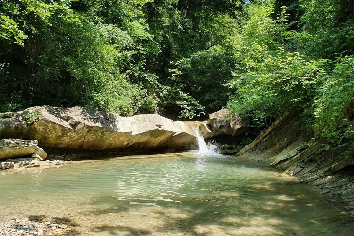 Без имени-7 Без имени-7