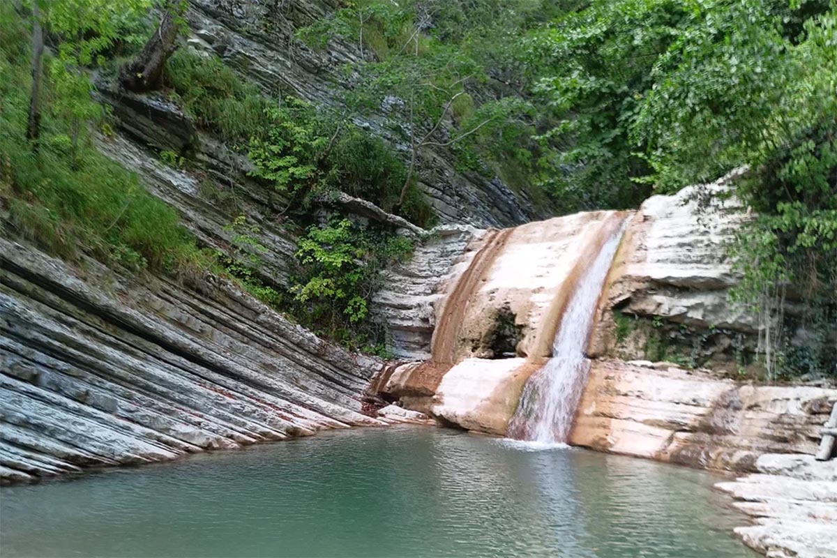 Без имени-8 Без имени-8