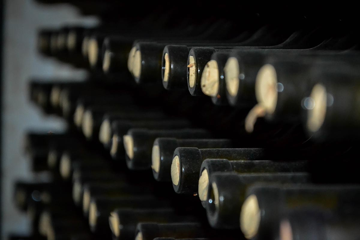 Брыксин (24) Брыксин (24)