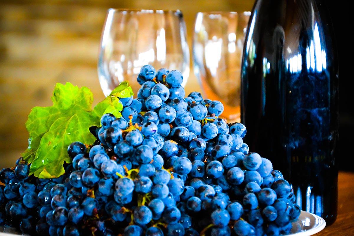 Брыксин (29) Брыксин (29)