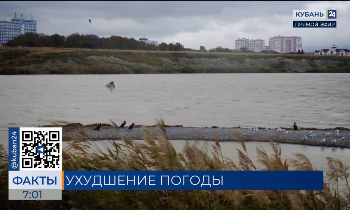 Резкое похолодание до +11 °С и дожди ожидаются 17 марта в Краснодарском крае