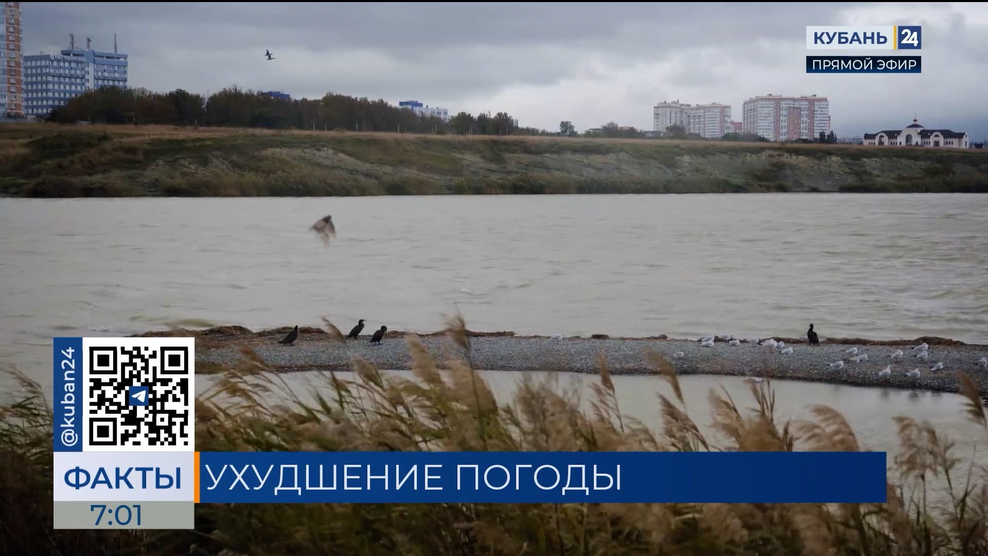 Резкое похолодание до +11 °С и дожди ожидаются 17 марта в Краснодарском крае