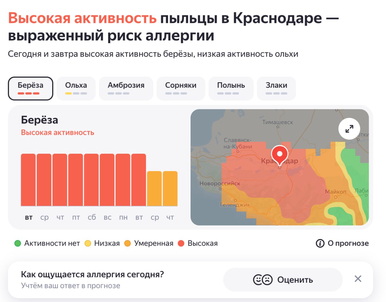 На Кубани заработал сервис по отслеживанию активности пыльцы растений-аллергенов