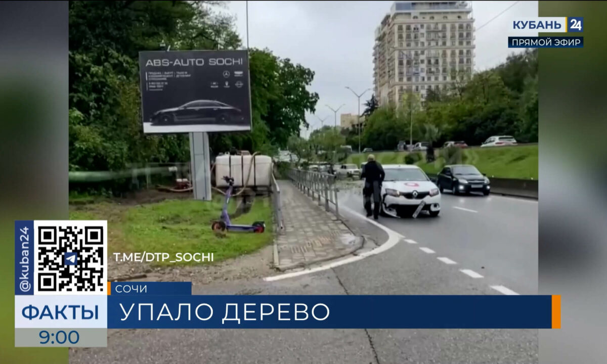 Дерево упало на машину и парализовало движение авто в Адлерском районе Сочи