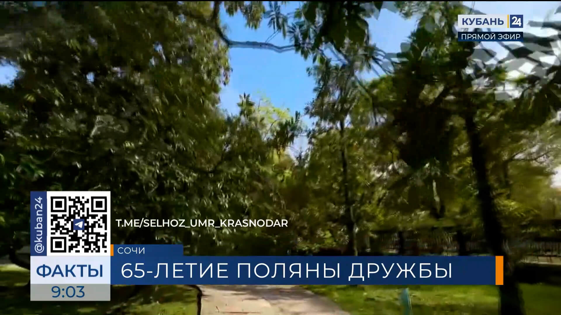 Сочинский парк «Ривьера» празднует 65-летие Поляны Дружбы