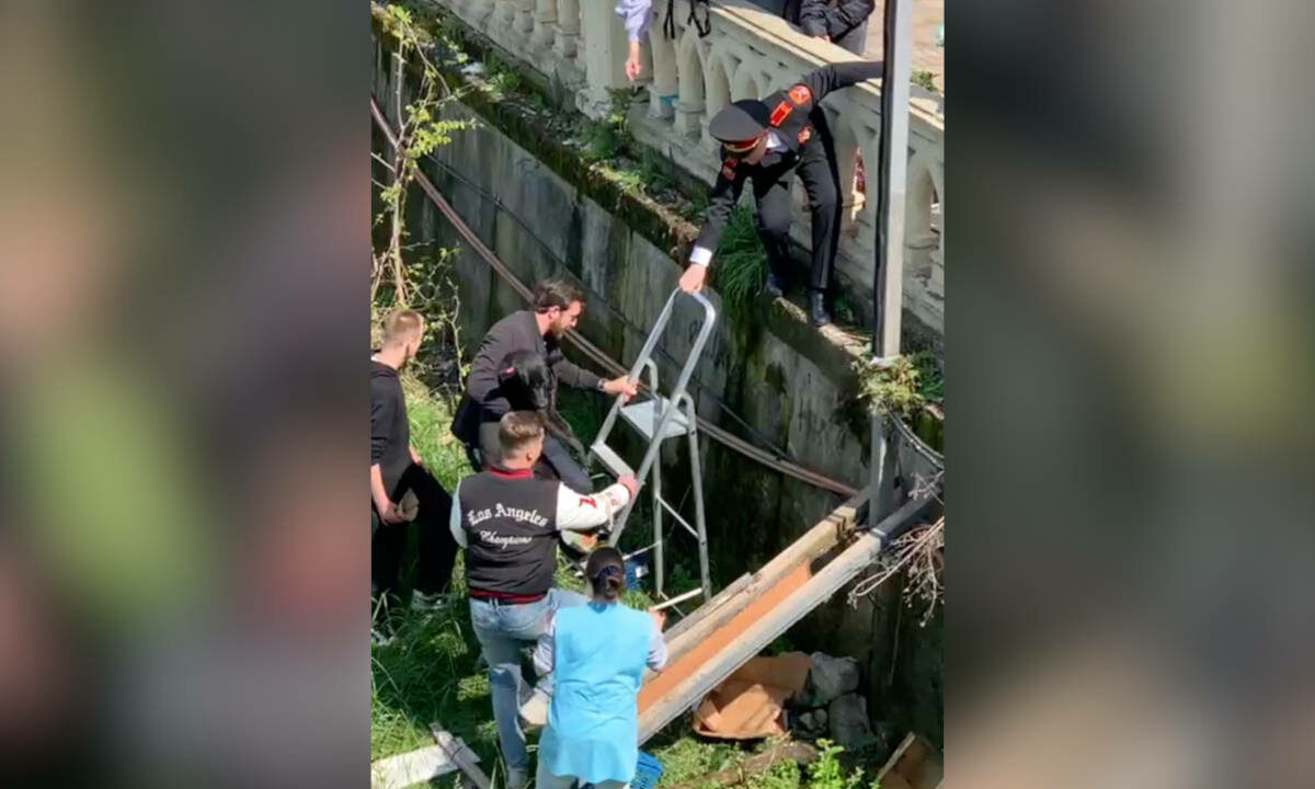 В Сочи добровольцы спасли из воды застрявшего в русле реки пса