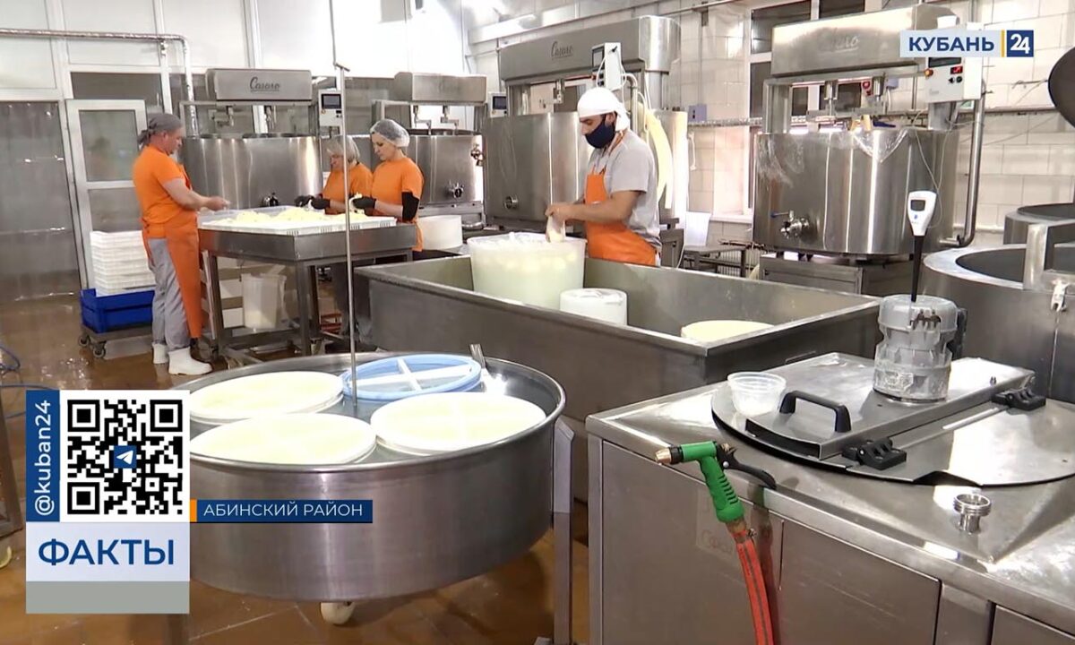 Более 160 млн рублей планируют выделить на поддержку сельхозкооперативов Кубани