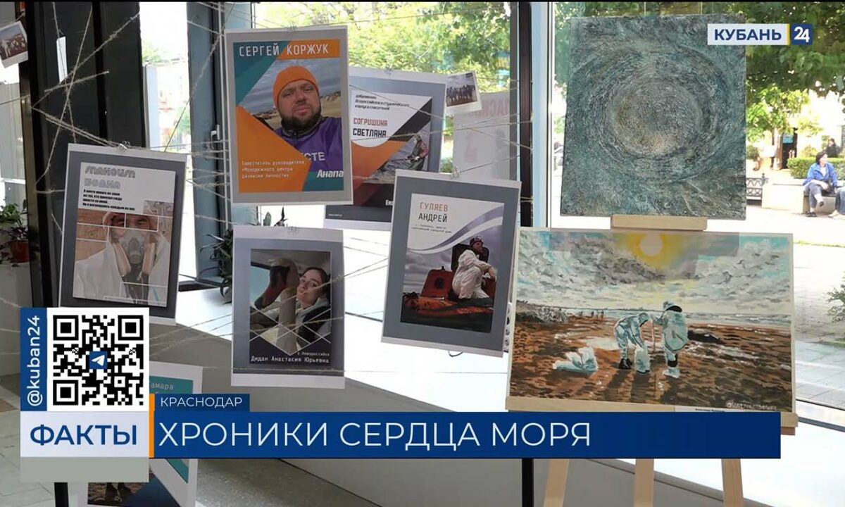 Выставку «Сердце моря» открыли в Доме книги в Краснодаре