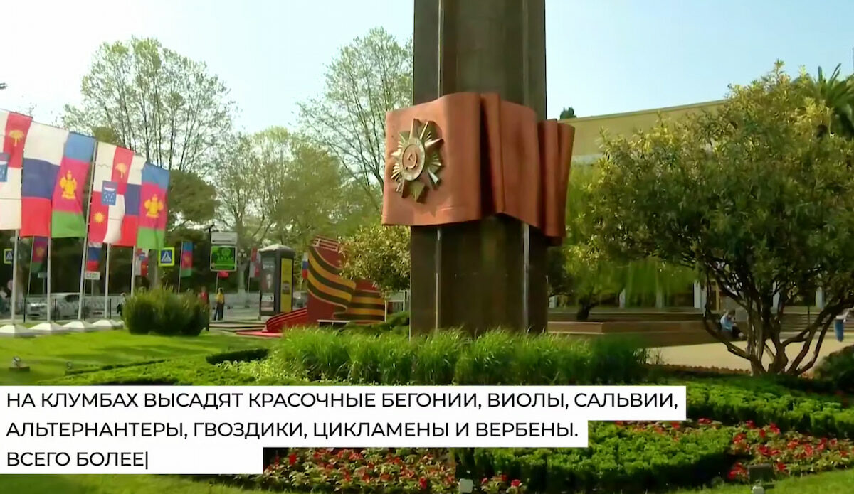 Более 330 тыс. цветов различных сортов высадят к лету в Сочи