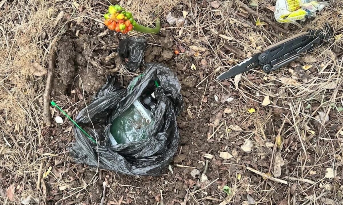 В Крыму задержали агента СБУ, планировавшего взорвать водонасосную станцию