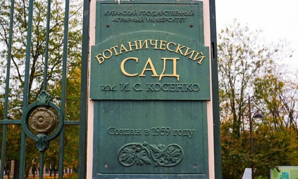 В Краснодаре 10 апреля на весь день закроют дендрарий для обработки