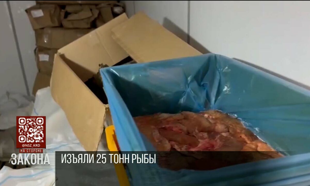 Полицейские изъяли 25 тонн рыбы из незаконного оборота на Кубани