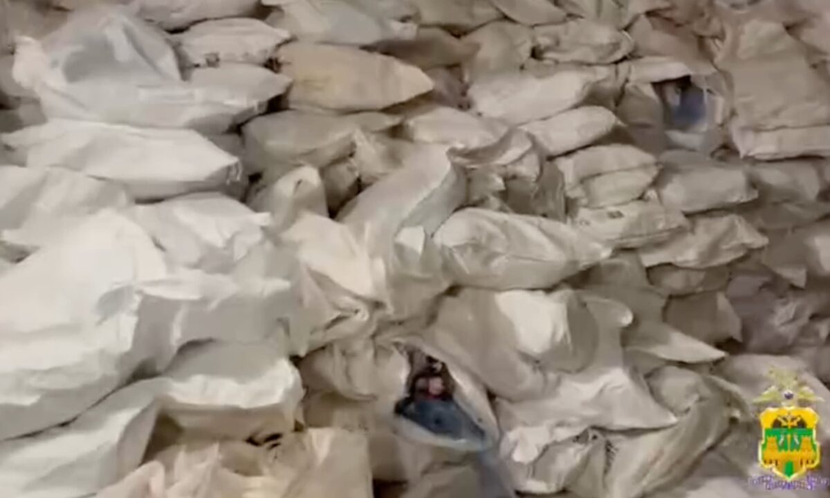 Незаконную рыбную продукцию на 10 млн рублей изъяли в трех районах Кубани