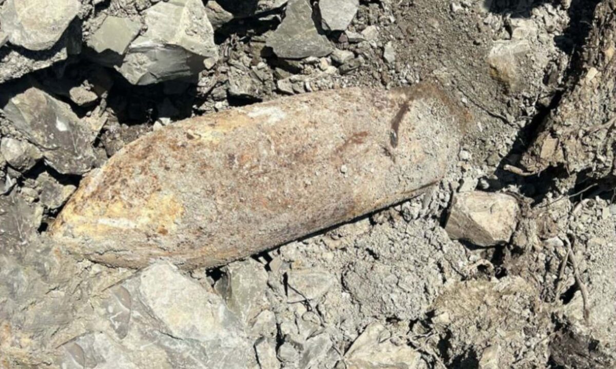 Фугасную бомбу весом 200 кг нашли в лесу под Геленджиком