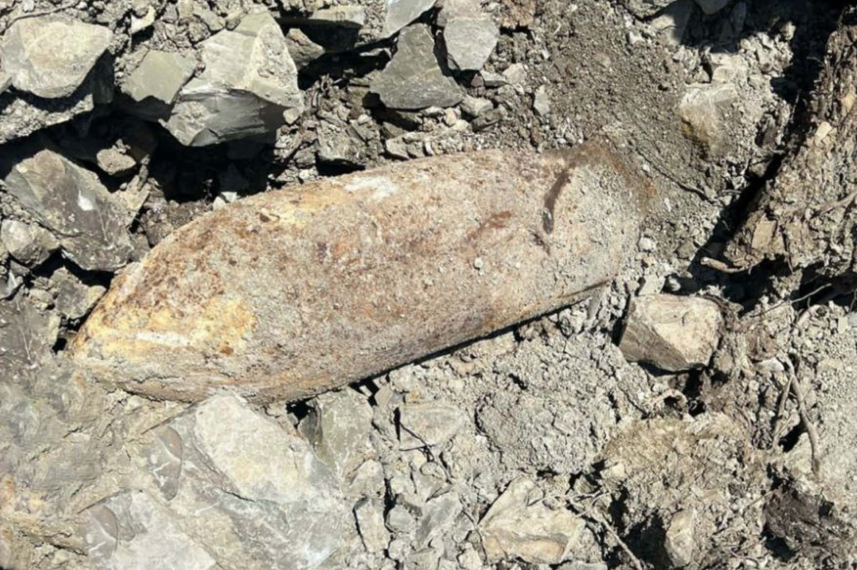 Фугасную бомбу весом 200 кг нашли в лесу под Геленджиком