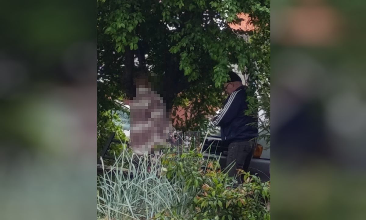 Тело женщины нашли возле лавочки в Пашковском микрорайоне Краснодара