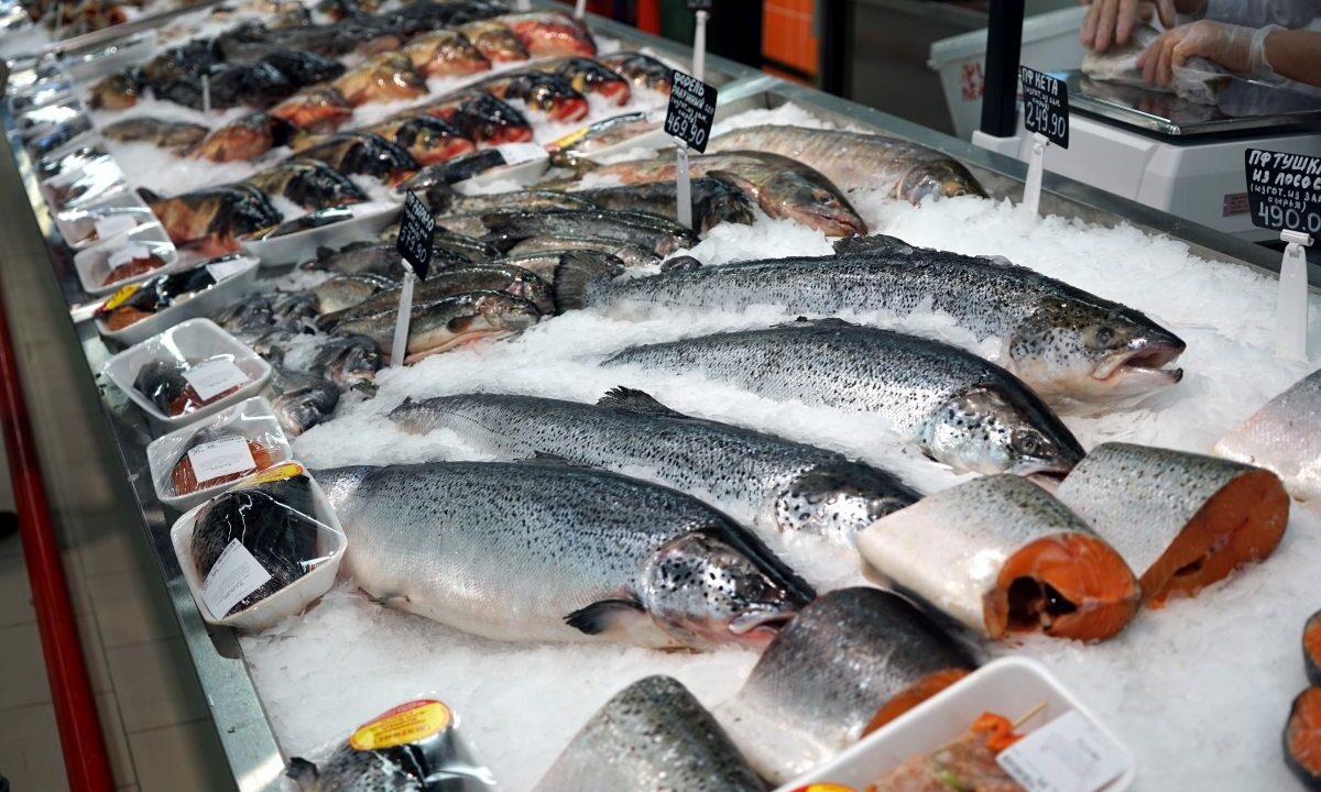 Путин: стоимость рыбы должна быть доступной для всех россиян