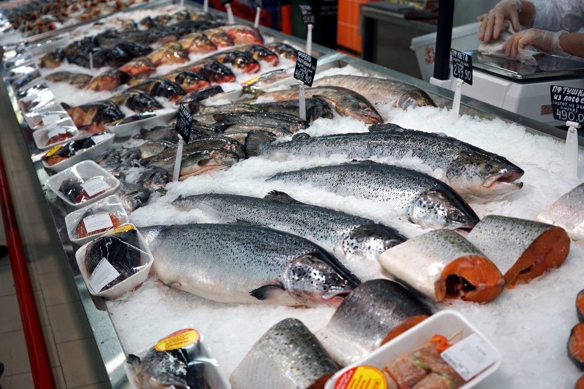 Путин: стоимость рыбы должна быть доступной для всех россиян