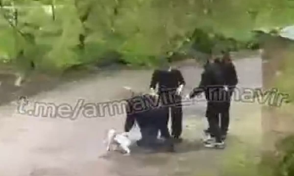 Хозяева собаки избили прохожего в Армавире после просьбы усмирить пса