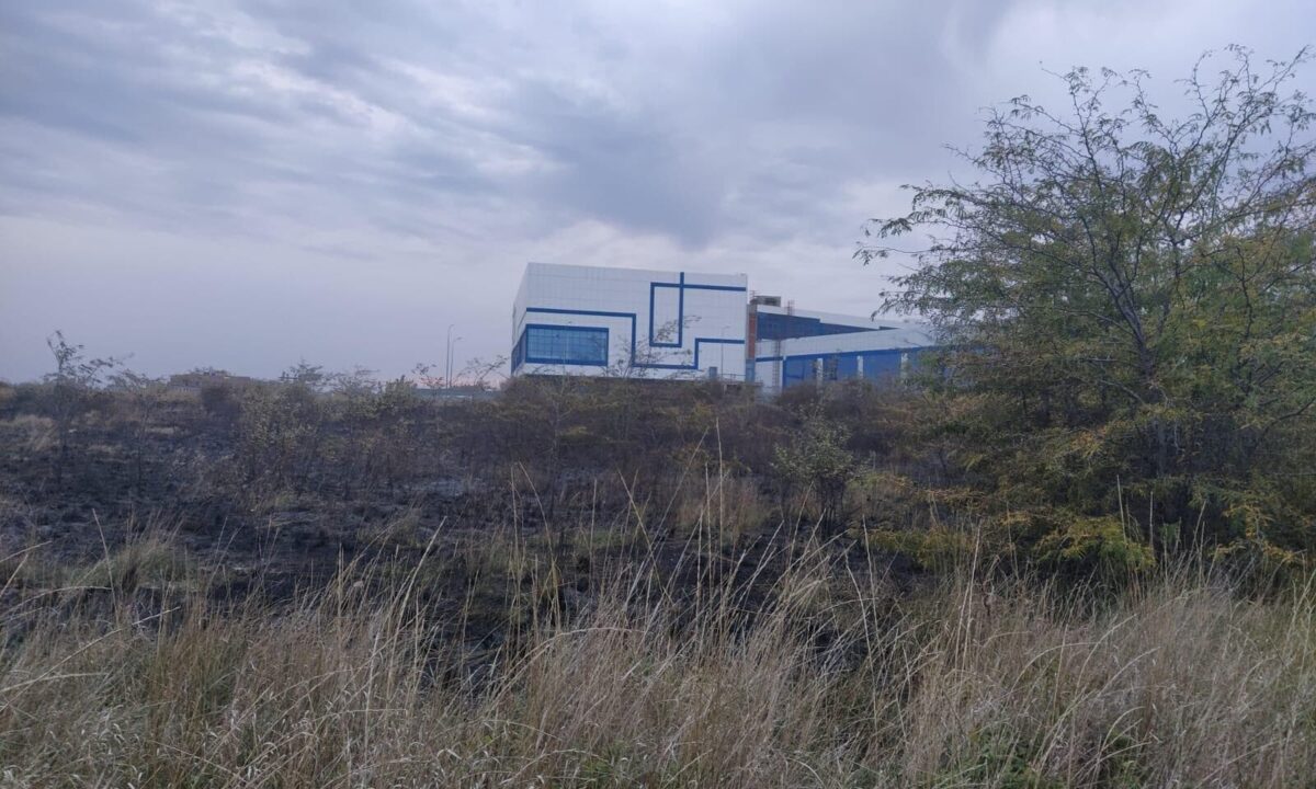 Бездомный напал на женщину, решившую потушить его костер в ООПТ в Новороссийске