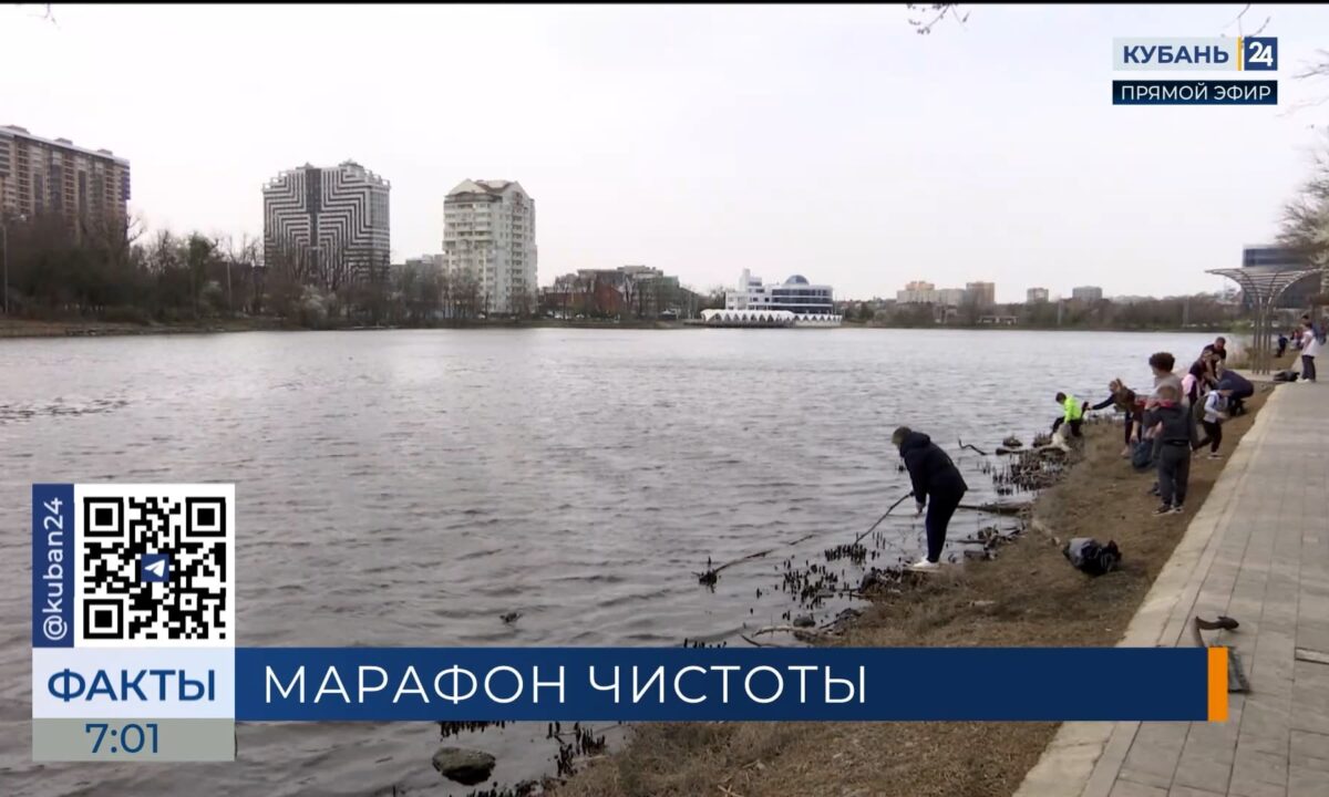 Общегородской субботник проведут 30 апреля в Краснодаре