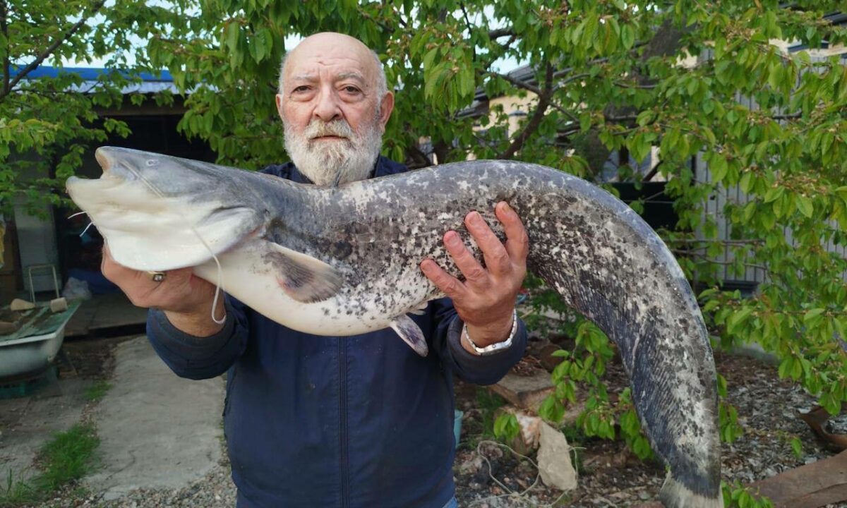 Маргарита Симоньян восхитилась выловленной отцом на Кубани огромной рыбой