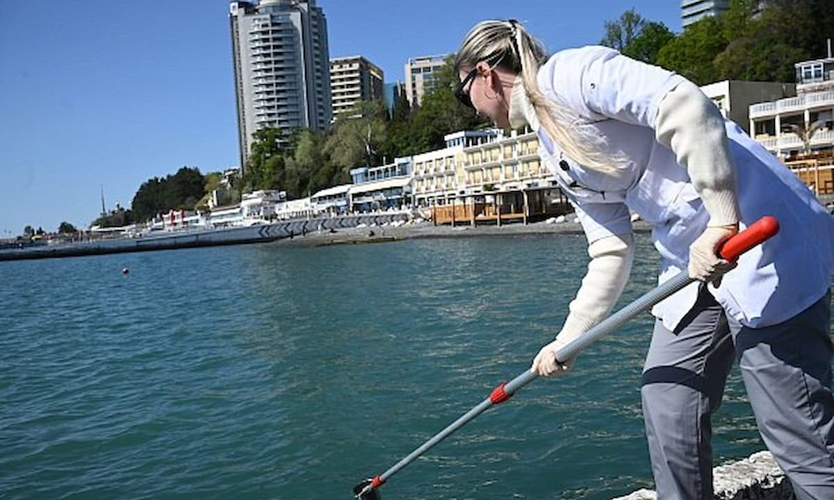Пробы морской воды подтвердили отсутствие следов мазута на пляжах Сочи
