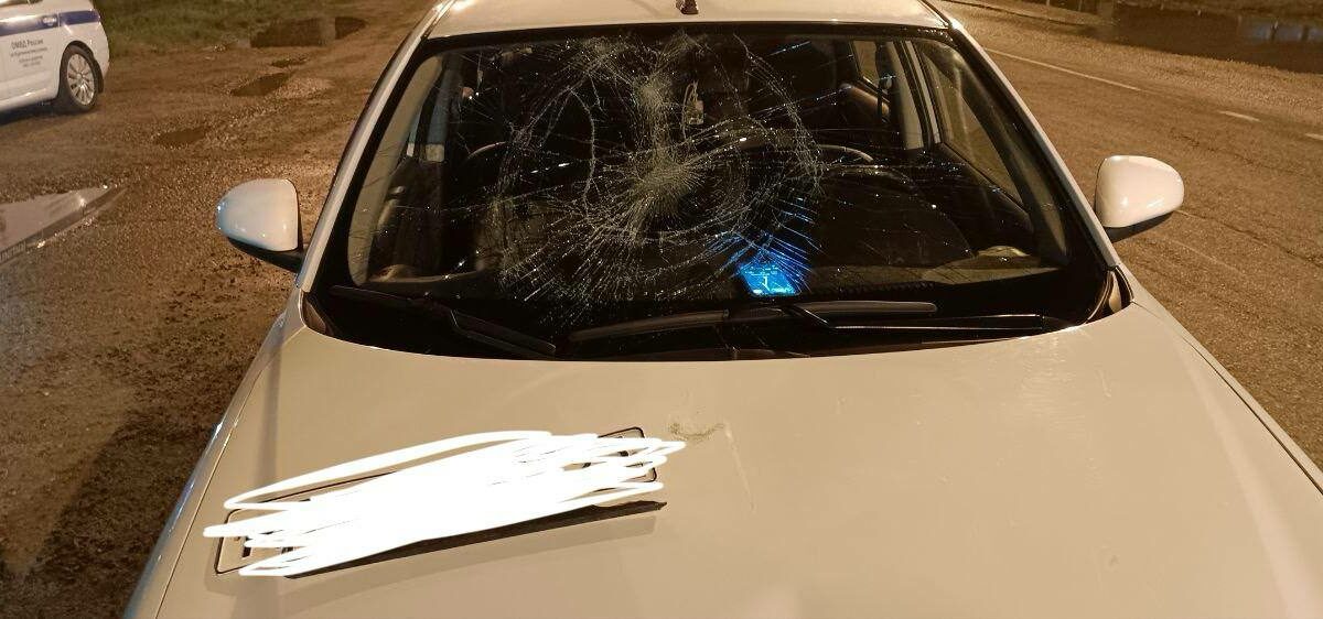 Мужчина с ребенком попали под колеса машины на дороге в Курганинске