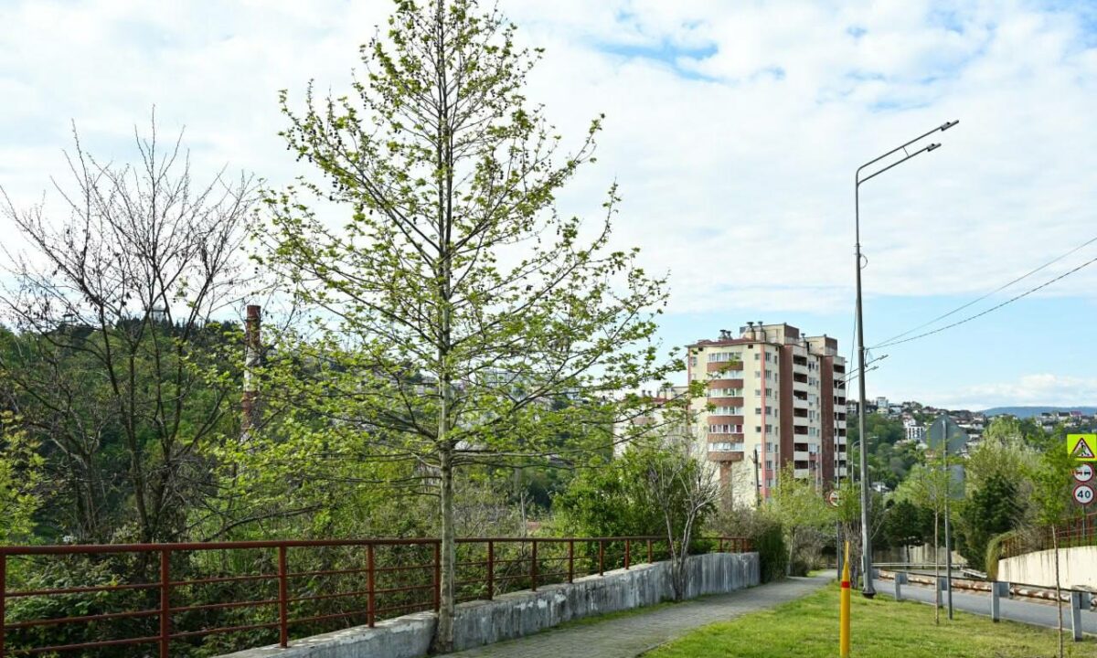 В Сочи построят новую школу на 800 мест в Хостинском районе