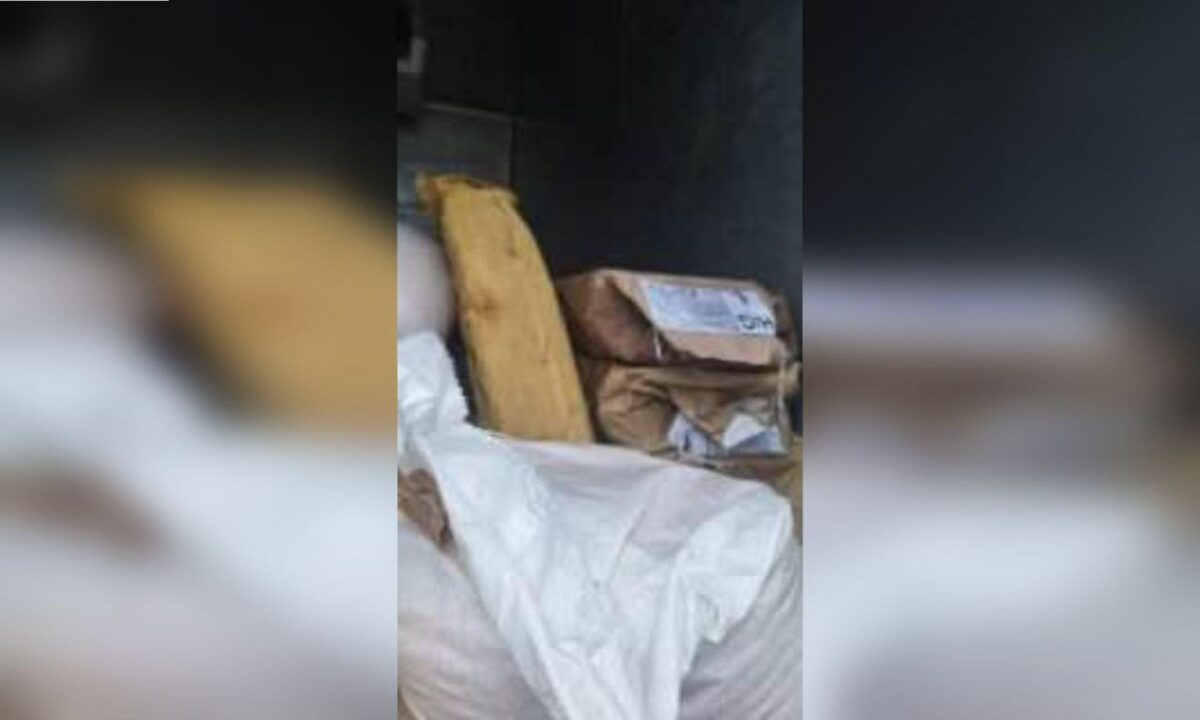 На Кубани приезжий пытался провезти в больницу более 150 кг рыбы без документов