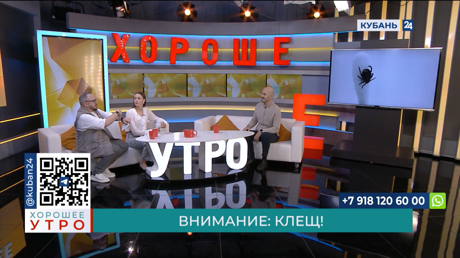 Юрик Шахведян: боррелиоз может привести к инвалидности